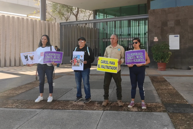 Activistas regresan a las calles por Athos y Tango tras polémica reducción de sentencia
