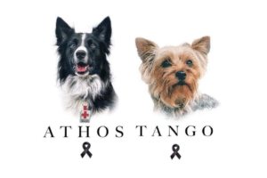 Exigen revisión judicial por irregularidades en el caso Athos y Tango