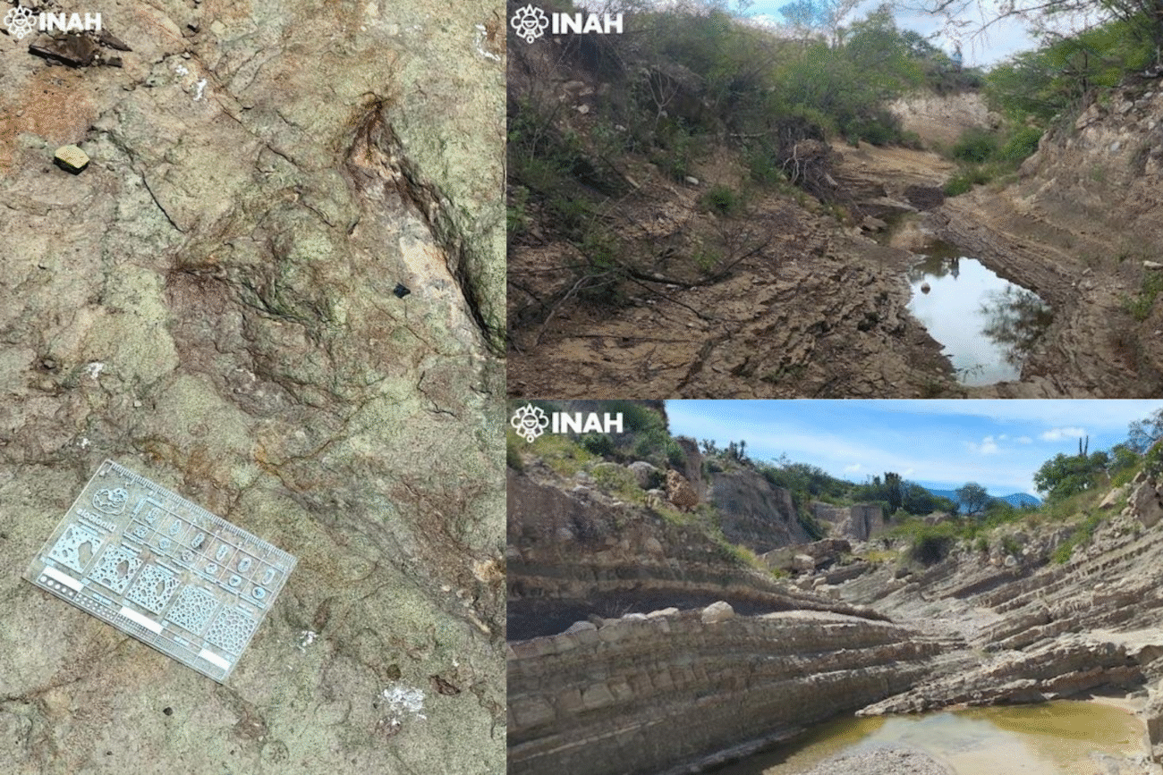 INAH confirma hallazgo de huellas de dinosaurios en la Biosfera Tehuacán-Cuicatlán