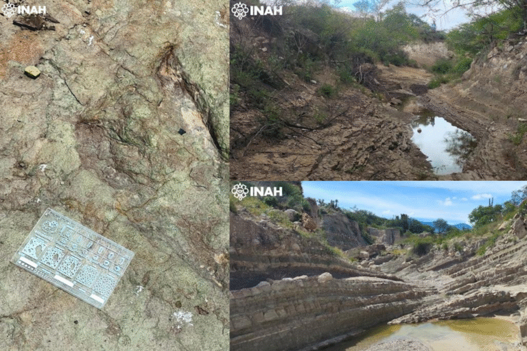 INAH confirma hallazgo de huellas de dinosaurios en la Biosfera Tehuacán-Cuicatlán