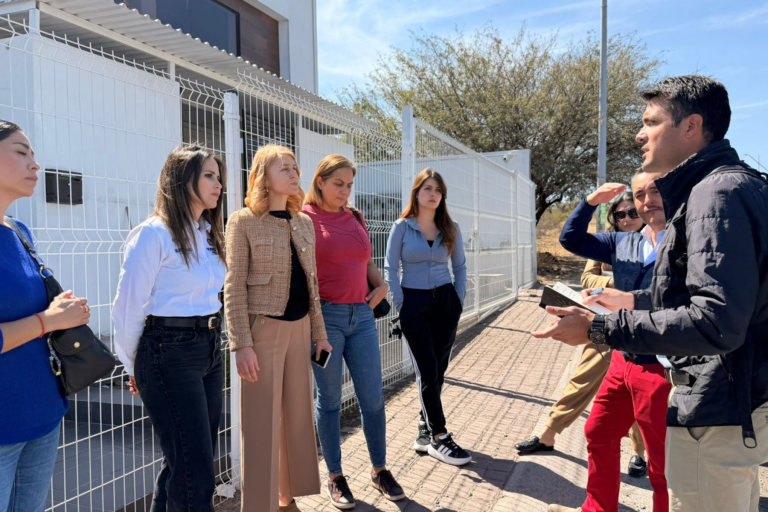 Municipio de Querétaro realiza acciones permanentes de Bienestar Animal