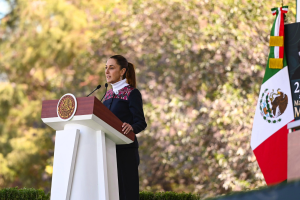 Reforma Electoral de Sheinbaum plantea cambios en plurinominales y reducción de costos