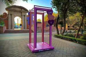 Venta de rosas en Querétaro tendrá 70 puntos autorizados para el 14 de febrero