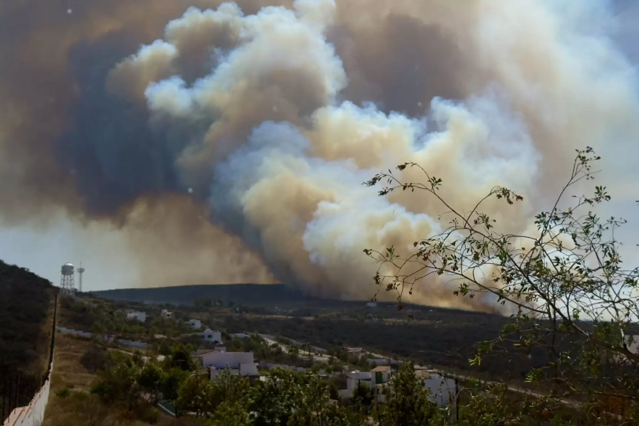 El Tángano se recuperará principalmente por procesos naturales: SEDESU