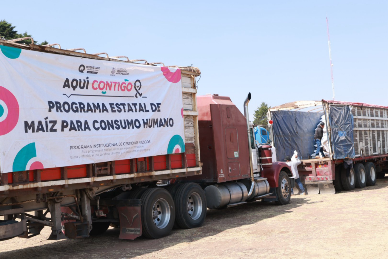 SEDEA entrega más de 700 toneladas de maíz a productores de Amealco
