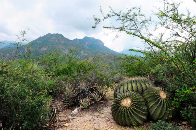 Diez desarrollos inmobiliarios en zonas protegidas están bajo vigilancia en Querétaro