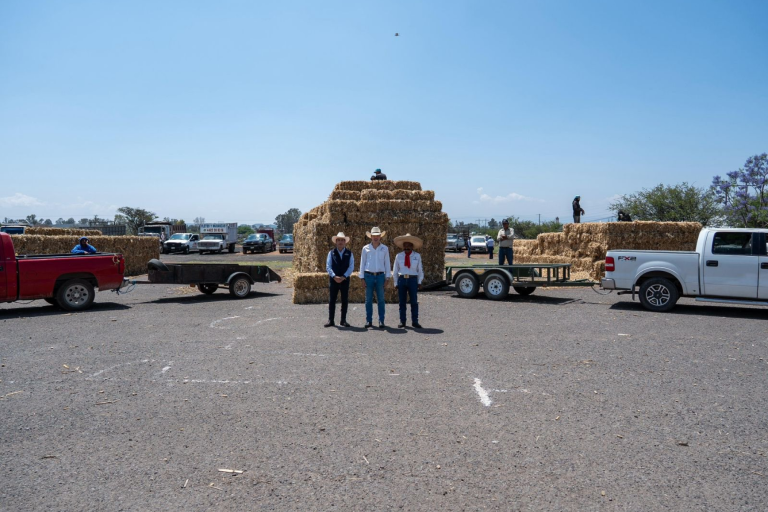 El Marqués refuerza apoyo al campo con entrega de forraje ante temporada de estiaje