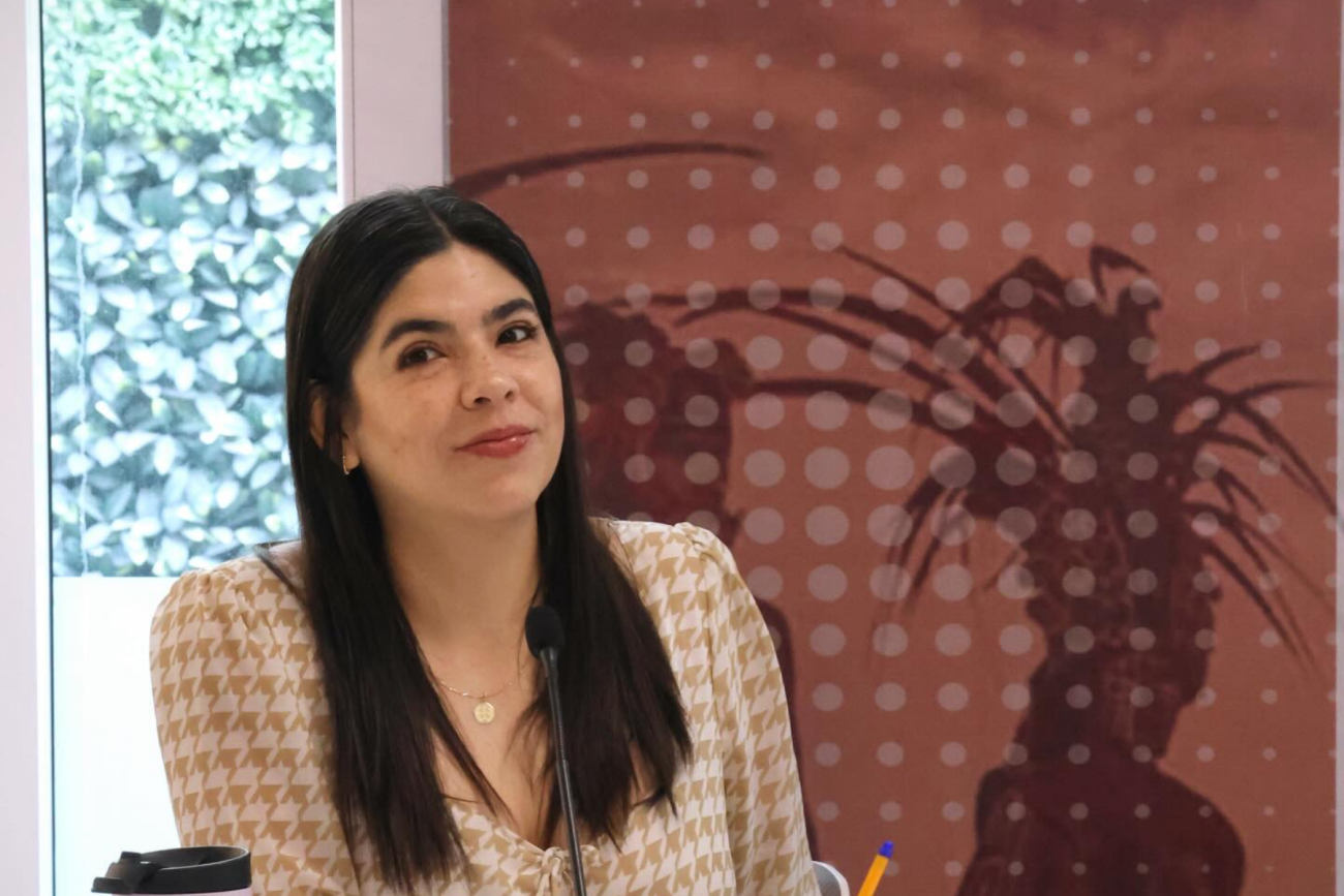 Plantea posible juicio político contra Claudia Díaz Gayou por conflicto de interés