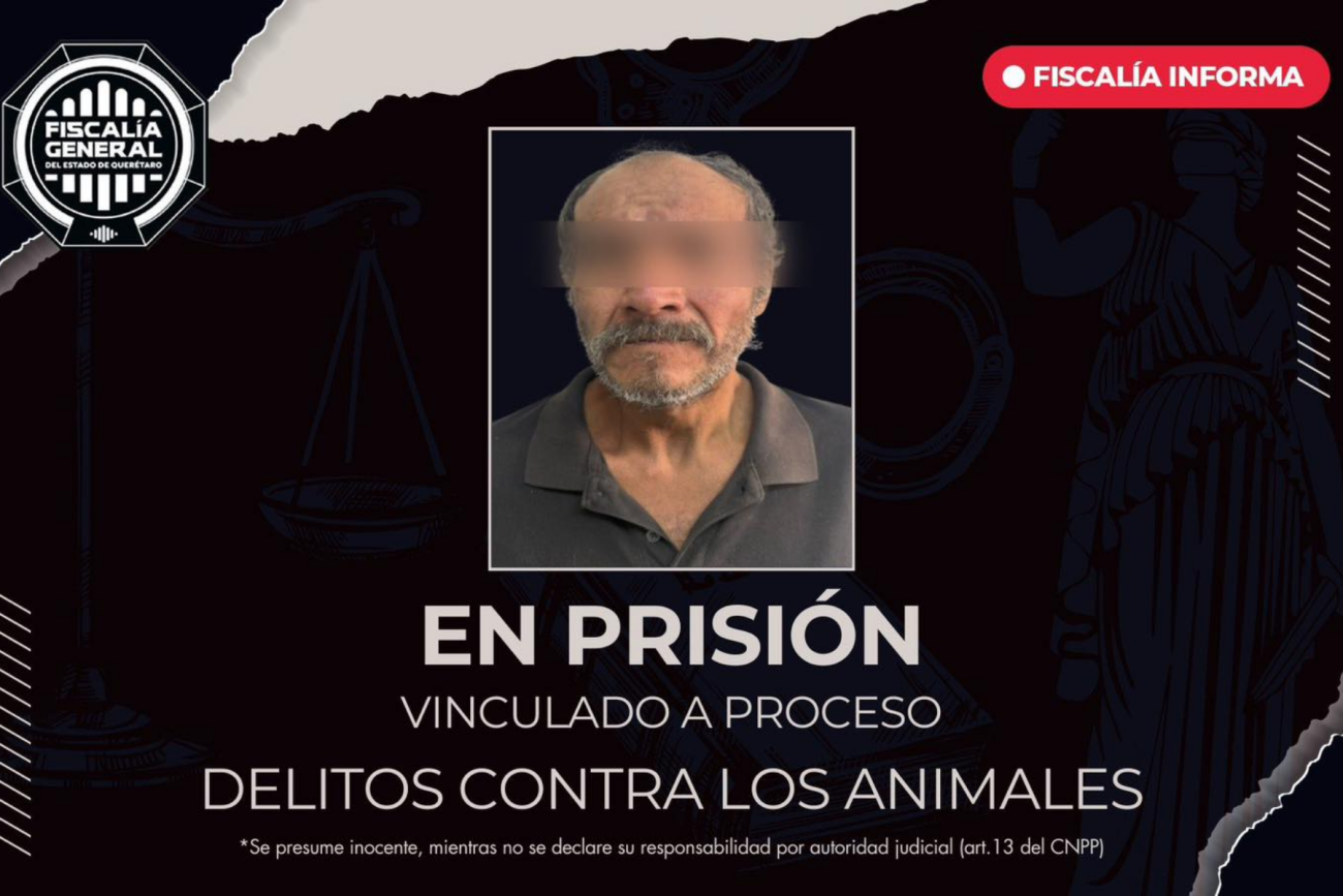 Maltrato animal en Pedro Escobedo: dictan prisión preventiva a imputado por agresión