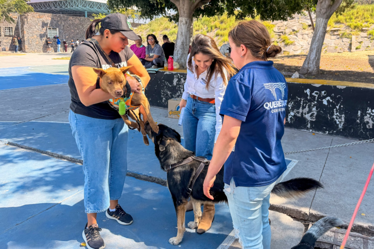 Secretaría de Bienestar Animal fortalece políticas públicas en Querétaro