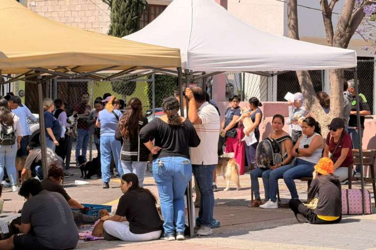 Querétaro impulsa programa de microchips para identificación de mascotas