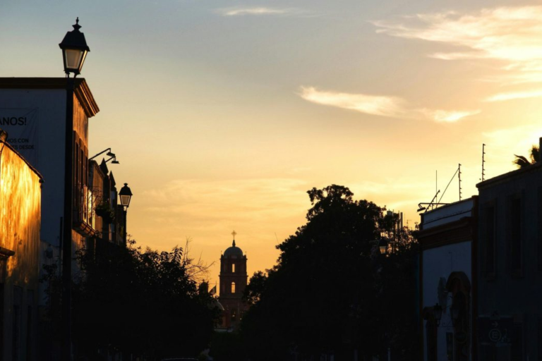 Islas de calor en Querétaro serán combatidas con programa de reforestación
