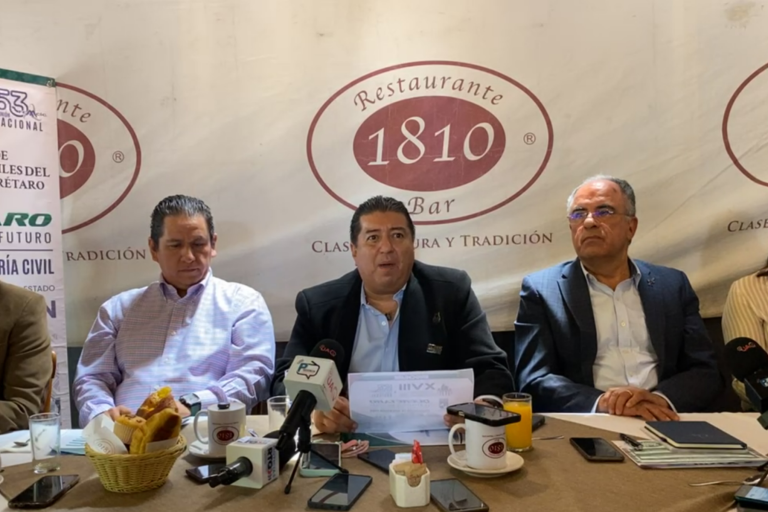 Colegio de Ingenieros Civiles aún no ha sido convocado para revisar el proyecto del tren México-Querétaro