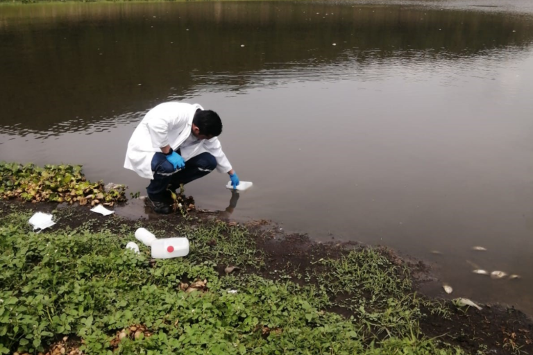Conagua analiza condiciones del agua en El Batán tras hallazgo de peces sin vida