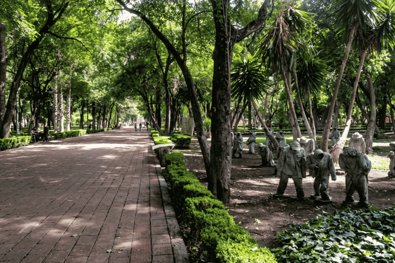 Plaga de muérdago afecta más del 70% del arbolado de la Alameda en Querétaro