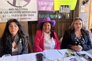 Red Nacional de Mujeres Defensoras de la Paridad en Todo cuestiona avances de las legislaturas
