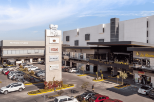 Negocios en el Municipio de Querétaro crecen en 2026; bajas disminuyen 63%