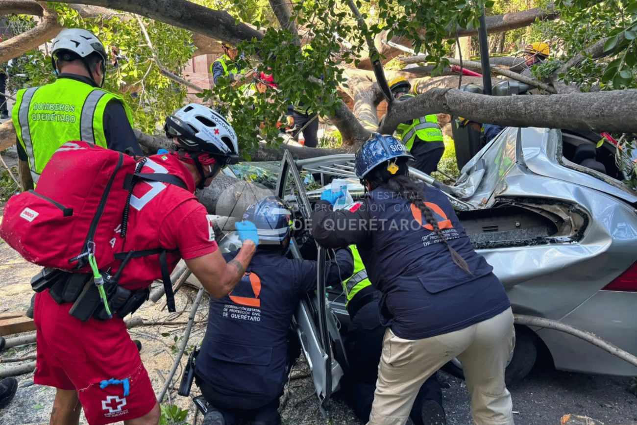 Árbol de la Alameda Hidalgo cae sobre Avenida Corregidora; muere un hombre y una menor resulta lesionada