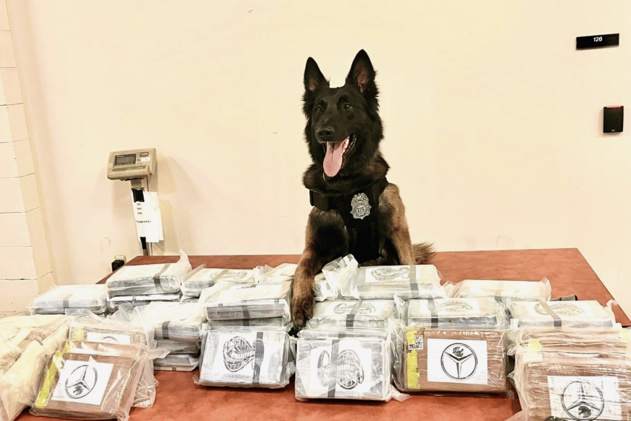 DEA bajo investigación por permitir el paso de fentanilo para fortalecer casos antidrogas