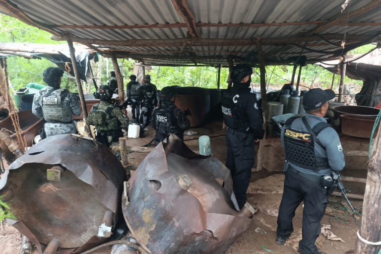 Gabinete de Seguridad decomisa 7.8 toneladas de precursores en Guerrero