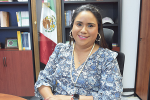 Grisel Muñiz Rodríguez informa que en el IEEQ hay 47 expedientes en trámite