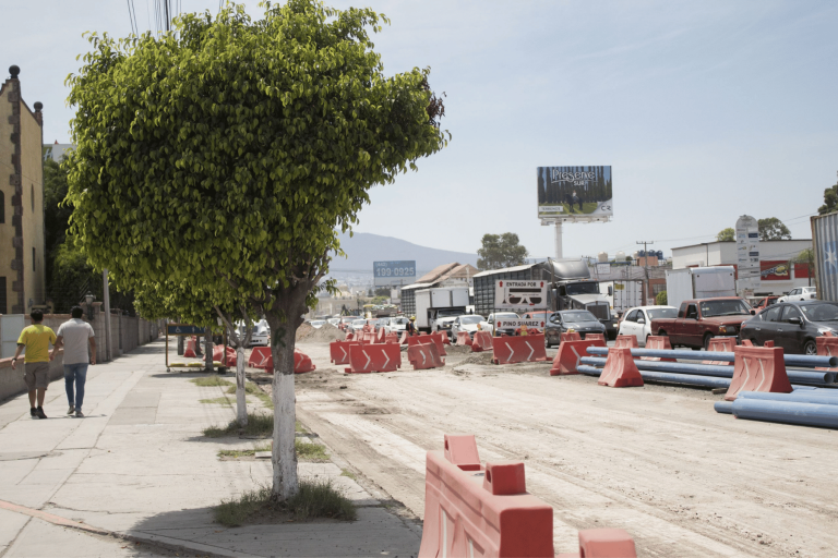 Querétaro enfrenta déficit de áreas verdes y arbolado de hasta 70%
