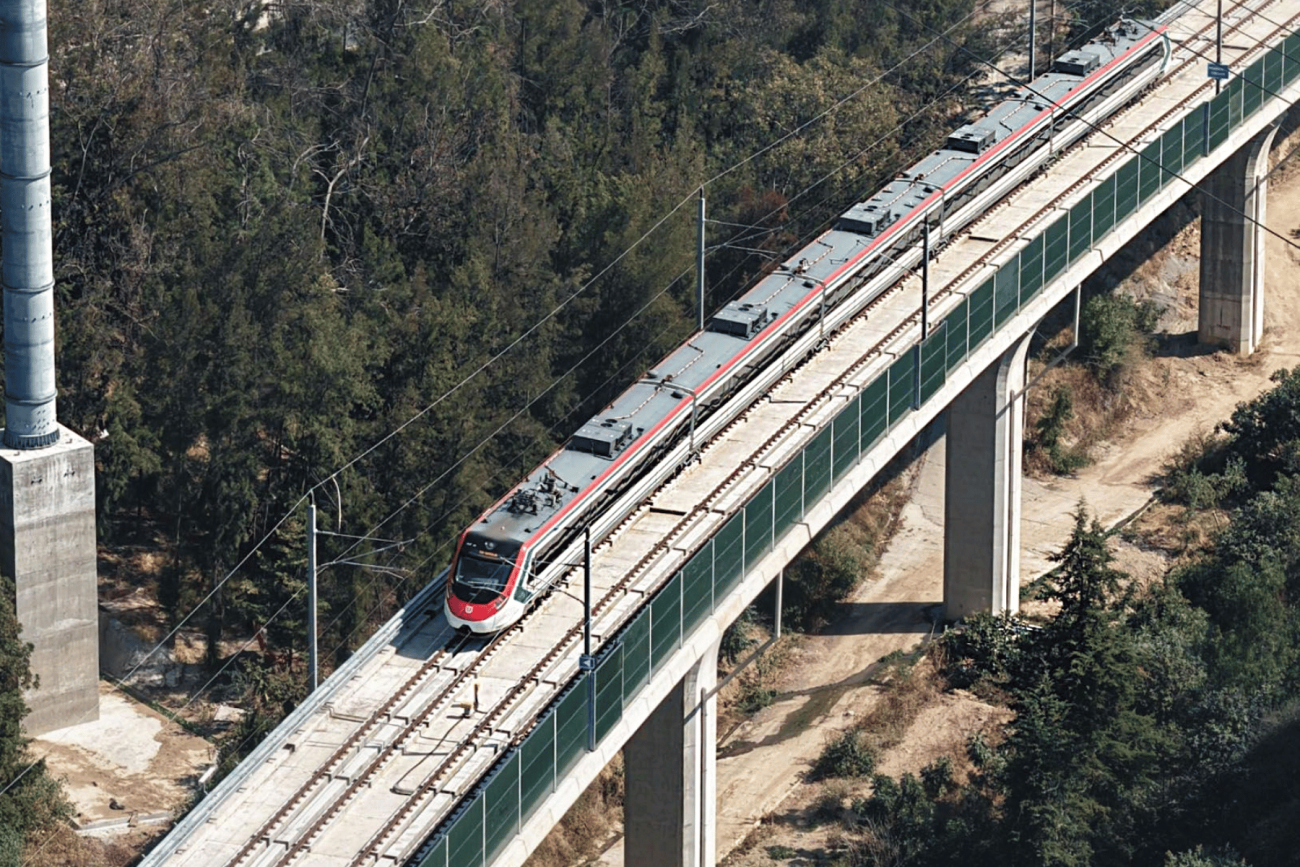 Tren México-Querétaro deberá socializar obras tras retiro de árboles en El Tepe