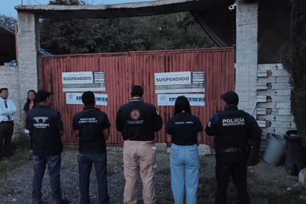 Municipio de Querétaro suspende pensión de perros por irregularidades y asegura a 28 ejemplares